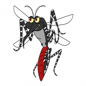 aedes-aegypti-1351001_640