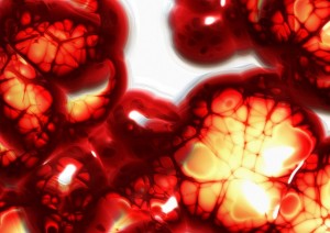 cells-75305_640