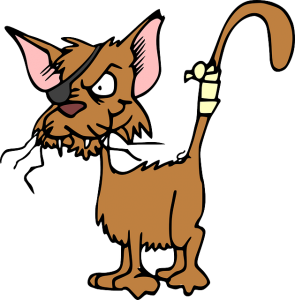 cat-47896_640