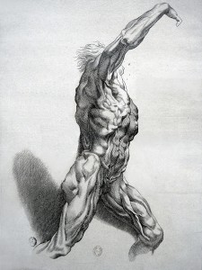 « Écorché », burin (H. 33 cm ; l. 21,8 cm) réalisé d'après Pierre Paul Rubens après 1640 par Paul Pontius. – Gravure N° SNR - 3 PONTIUS de la Bibliothèque nationale de France de Paris. Photographie réalisée lors de l'exposition temporaire l'Europe de Rubens - Musée du Louvre (Lens).